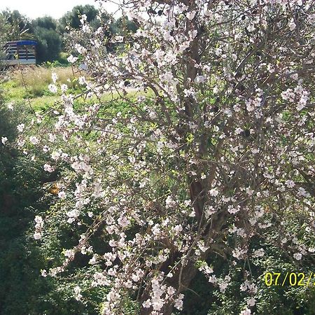 فيلا أفولافي Casa Vacanze Mandorlo In Fiore المظهر الخارجي الصورة