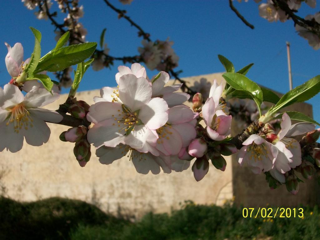 فيلا أفولافي Casa Vacanze Mandorlo In Fiore المظهر الخارجي الصورة